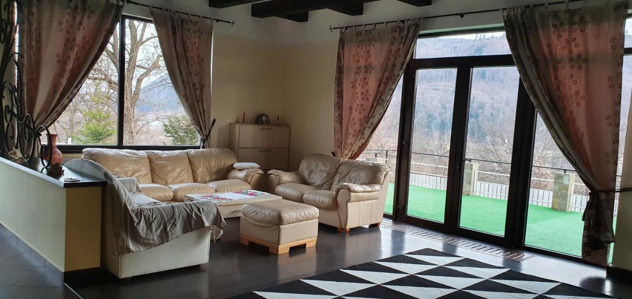 Вилла Casa Yla Пьятра-Нямц Экстерьер фото