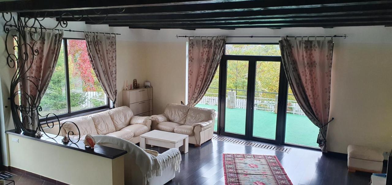 Вилла Casa Yla Пьятра-Нямц Экстерьер фото