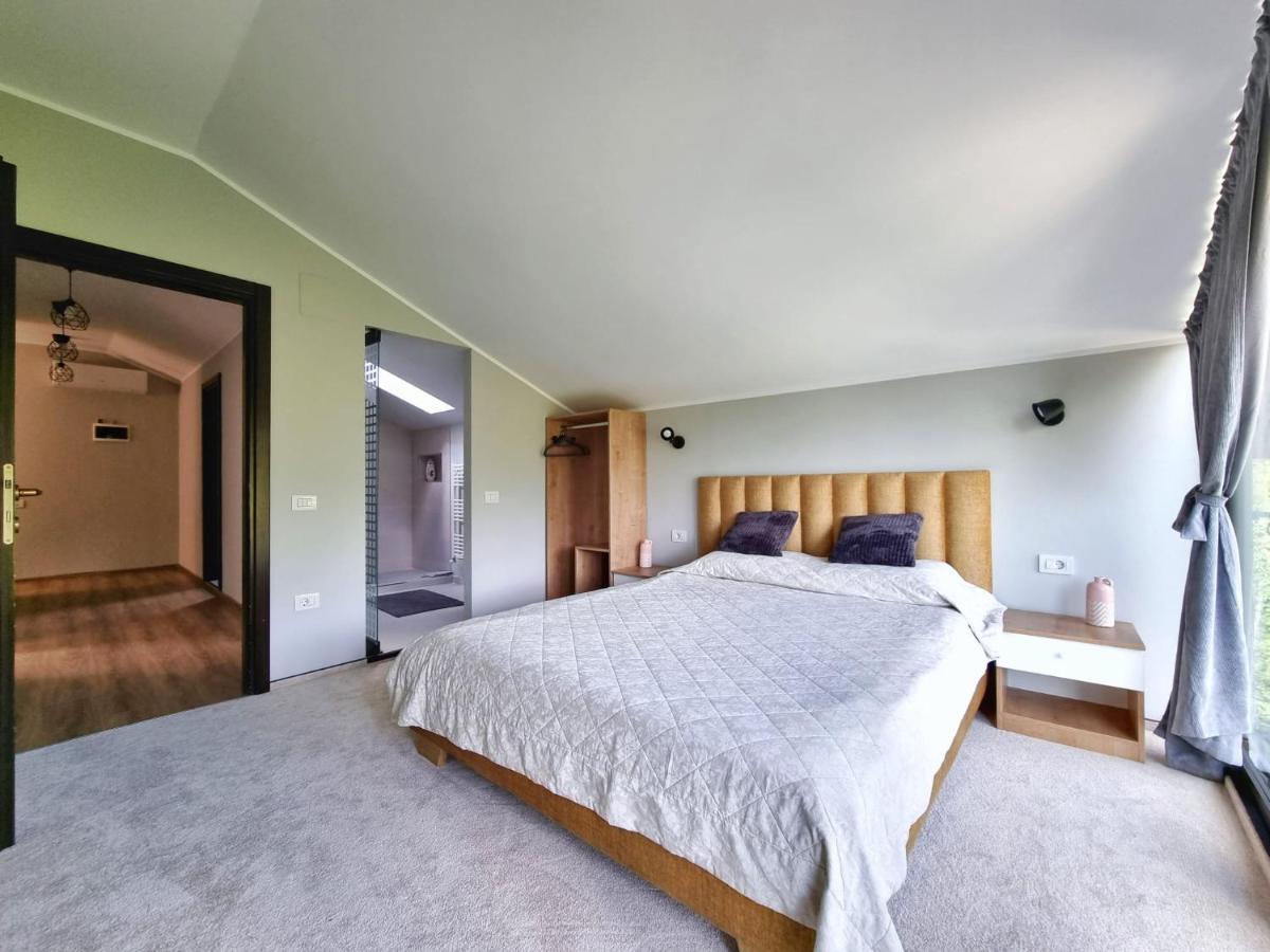 Вилла Casa Yla Пьятра-Нямц Экстерьер фото