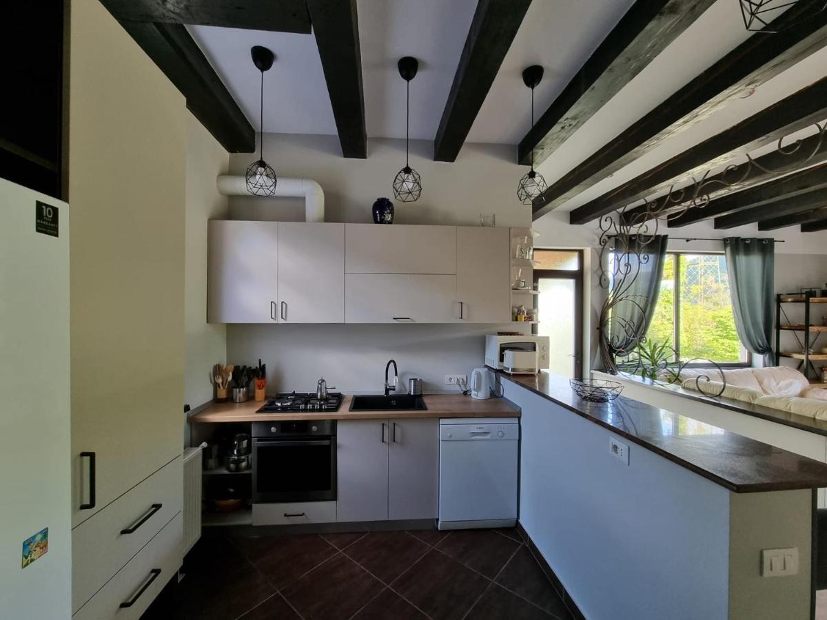 Вилла Casa Yla Пьятра-Нямц Экстерьер фото